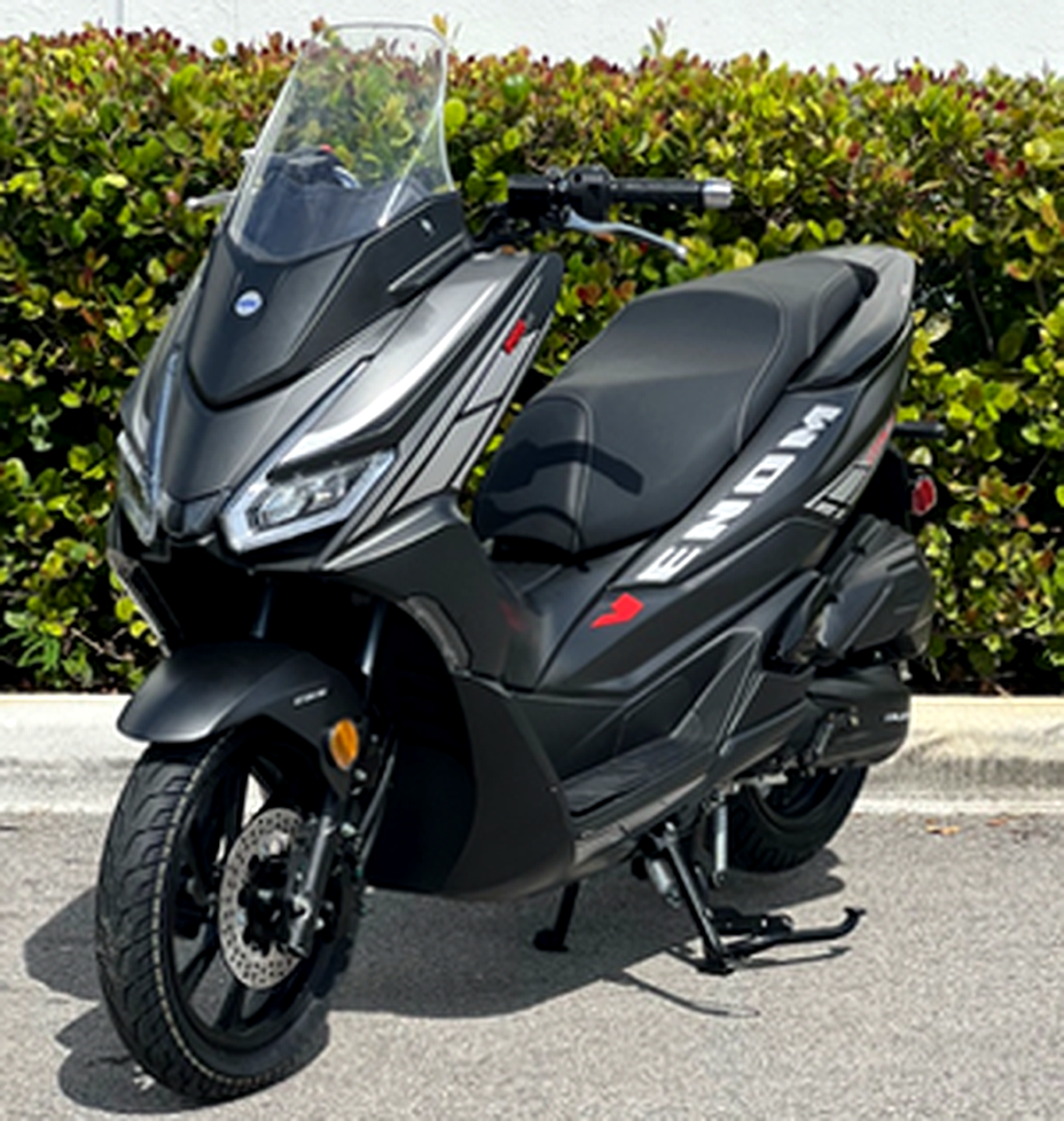 Italica Venom